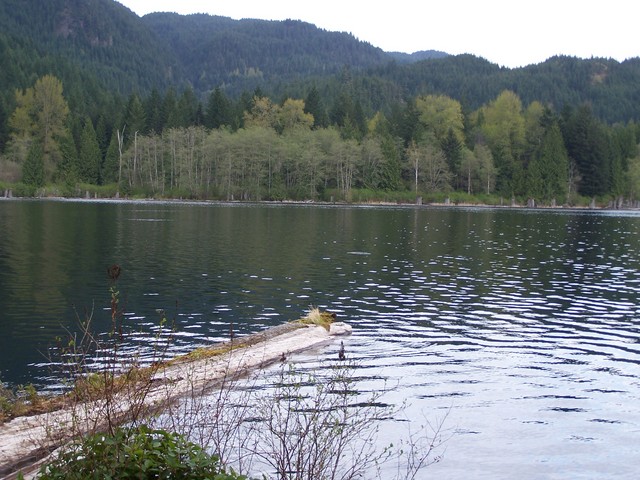 Weaver lake 3.JPG