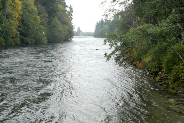 Campbell_River_downstream.jpg