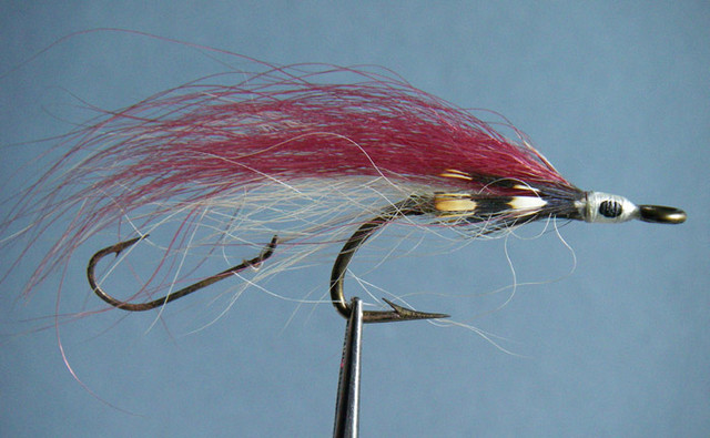 Old bucktail 5