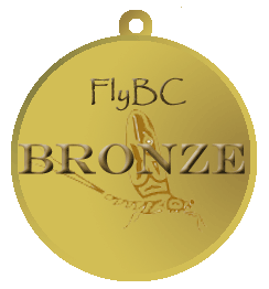 Bronze Medal no tag