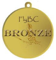 Bronze Medal no tag sm
