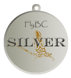 Silver Medal no tag