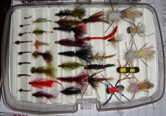 A_nice_box_of_flies_donated_by_TWS_I_think.jpg