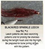 Sparkle Leech