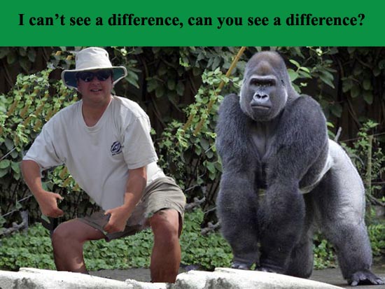 I can't see a difference, can you?