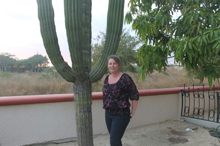 Backyard with the cacti