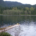 Weaver lake 3.JPG