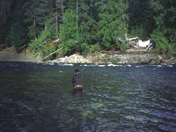 Nimpkish  River 8